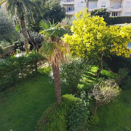 Melodie Garage Gratuit * Cannes